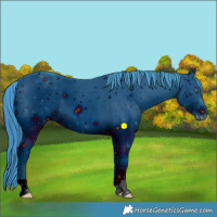 Horse Color:ERROR: UNKNOWN ANOMALY