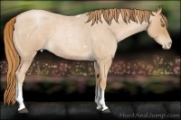 Horse Color:Red Roan Pearl Tobiano Frame