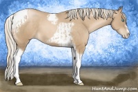Horse Color:Chocolate Palomino Pearl Tobiano Frame  and Chocolate Palomino Pearl Tobiano Frame 