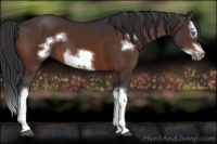 Horse Color:Brown Splash Frame 
