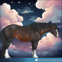 Horse Color:Brown 