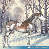 Horse Color:White Spotted Liver Chestnut Mushroom Splash 