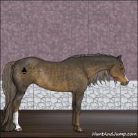 Horse Color:Chocolate Palomino Rabicano 