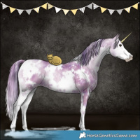Horse Color:Watercolor Plaid  White Spotted Brown Pearl Onyx Sabino Rabicano 