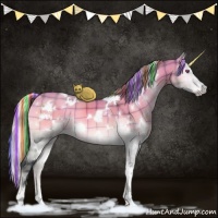 Horse Color:Painted Plaid  White Spotted Silver Brown Chinchilla Onyx 