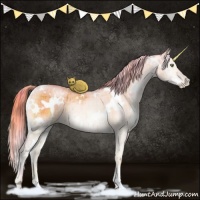 Horse Color:Watercolor Plaid  White Spotted Brown Pearl Onyx Rabicano Brindle 