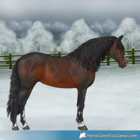 Horse Color:Brown 
