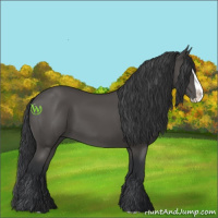 Horse Color:Black Splash 