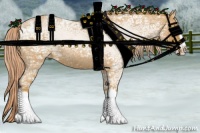 Horse Color:Palomino Ice Roan Splash