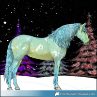 Horse Color:Watercolor White Spotted Brown Dun 