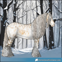 Horse Color:Smoky Creme Sabino and Gray Silver Sable Cream Champagne Dun Sabino Tobiano Appaloosa Brindle