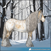 Horse Color:Smoky Creme Sabino  and Gray Silver Sable Cream Champagne Dun Sabino Tobiano Blanket Brindle 