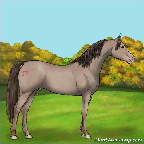 Horse Color:Classic Champagne Roan 