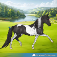 Horse Color:Smoky Black Tobiano 