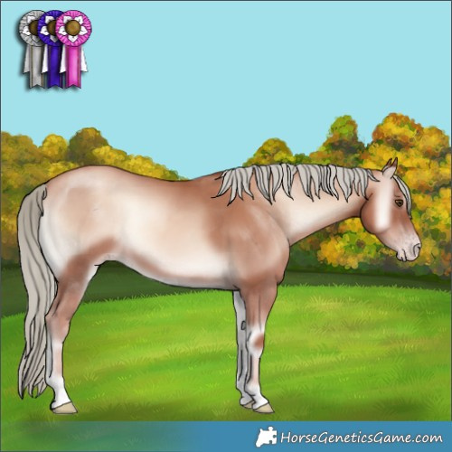 Horse Color:Gold Champagne Onyx Mushroom 