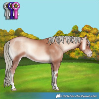 Horse Color:Gold Champagne Onyx Mushroom