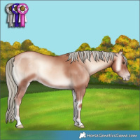 Horse Color:Gold Champagne Onyx Mushroom