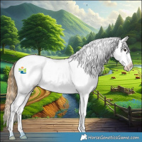 Horse Color:White Spotted Buckskin Appaloosa