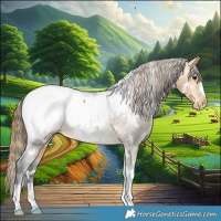 Horse Color:White Spotted Buckskin Snowcap 