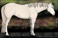 Horse Color:Perlino Sabino  and Perlino Sabino 
