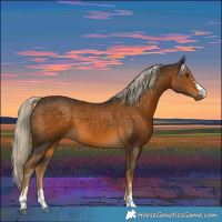Horse Color:Chocolate Palomino 