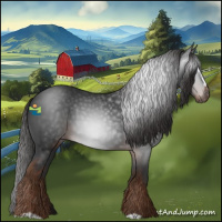 Horse Color:Gray Liver Chestnut Sabino Varnish 