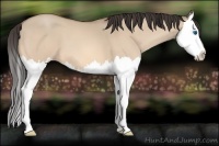 Horse Color:Amber Champagne Dun Splash 