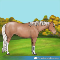 Horse Color:Silver Black Pearl Tobiano 