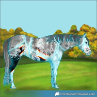 Horse Color:Thunderstruck White Spotted Midnight Chocolate Bay Ice Dun Sabino Splash 