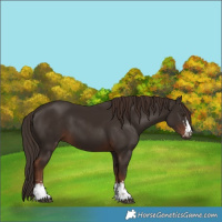 Horse Color:Liver Chestnut  and Liver Chestnut 