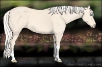 Horse Color:Cremello Tobiano
