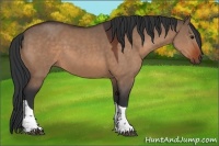 Horse Color:Bay Dun Tobiano Rabicano 