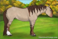 Horse Color:Liver Red Dun Tobiano Rabicano 