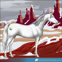 Horse Color:Gray Brown Tobiano 