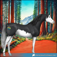 Horse Color:Black Splash 