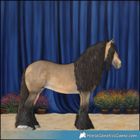 Horse Color:Buckskin Dun 