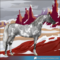 Horse Color:White Spotted Liver Red Roan Mushroom