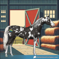 Horse Color:White Spotted Liver Chestnut Mushroom