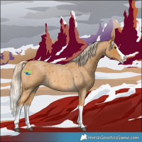 Horse Color:Palomino Roan Splash 