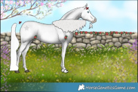 Horse Color:Platinum White Spotted Chocolate Palomino Pearl Dun Mushroom Splash 
