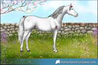 Horse Color:Platinum White Spotted Chocolate Palomino Pearl Dun Mushroom Splash 