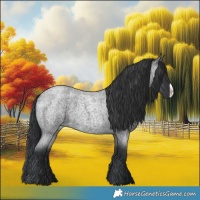 Horse Color:Blue Roan Frame