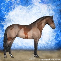 Horse Color:Brown Rabicano  and Brown Rabicano 