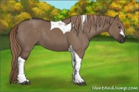 Horse Color:Liver Red Dun Tobiano 