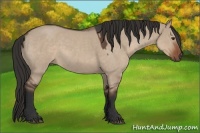 Horse Color:Liver Red Dun Roan 