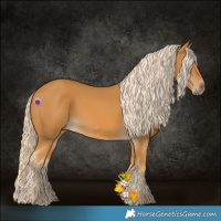 Horse Color:Palomino 