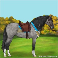 Horse Color:Grullo Roan 