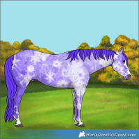 Horse Color:Watercolor Black Ice 