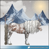 Horse Color:White Spotted Liver Chestnut Ice Mushroom Sabino 