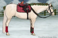 Horse Color:Gold Cream Champagne Pearl Sabino 